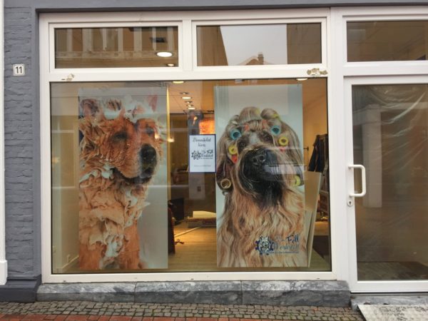 Fell Werkstatt Schaufenster